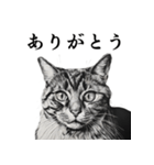 水墨画風 猫スタンプ （AI生成）（個別スタンプ：12）