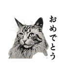 水墨画風 猫スタンプ （AI生成）（個別スタンプ：14）
