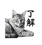 水墨画風 猫スタンプ （AI生成）（個別スタンプ：17）