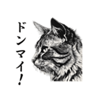水墨画風 猫スタンプ （AI生成）（個別スタンプ：28）