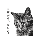 水墨画風 猫スタンプ （AI生成）（個別スタンプ：40）