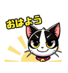 ハチワレ猫のテオ1（個別スタンプ：1）