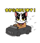 ハチワレ猫のテオ1（個別スタンプ：2）