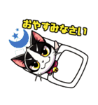 ハチワレ猫のテオ1（個別スタンプ：3）