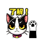 ハチワレ猫のテオ1（個別スタンプ：4）