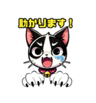 ハチワレ猫のテオ1（個別スタンプ：5）