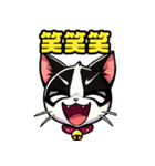 ハチワレ猫のテオ1（個別スタンプ：7）
