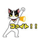 ハチワレ猫のテオ1（個別スタンプ：9）