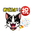 ハチワレ猫のテオ1（個別スタンプ：11）