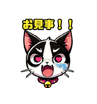 ハチワレ猫のテオ1（個別スタンプ：15）