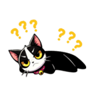 ハチワレ猫のテオ1（個別スタンプ：16）