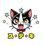 ハチワレ猫のテオ1（個別スタンプ：19）