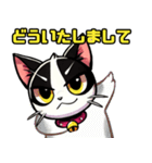 ハチワレ猫のテオ1（個別スタンプ：24）