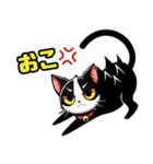 ハチワレ猫のテオ1（個別スタンプ：25）
