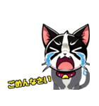 ハチワレ猫のテオ1（個別スタンプ：26）