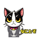 ハチワレ猫のテオ1（個別スタンプ：32）