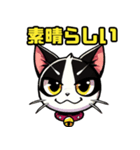 ハチワレ猫のテオ1（個別スタンプ：34）