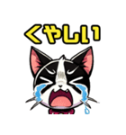 ハチワレ猫のテオ1（個別スタンプ：38）