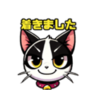 ハチワレ猫のテオ1（個別スタンプ：39）