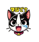 ハチワレ猫のテオ1（個別スタンプ：40）