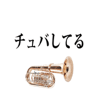 チューバ専用2（個別スタンプ：12）