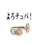 チューバ専用2（個別スタンプ：34）