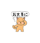 アクションk-gigi24−2（個別スタンプ：12）