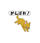 アクションk-gigi24−2（個別スタンプ：13）