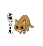 アクションk-gigi24−2（個別スタンプ：16）