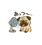 ブサかわパグ（夏バージョン）（個別スタンプ：1）