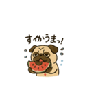 ブサかわパグ（夏バージョン）（個別スタンプ：4）