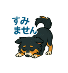 シェルティのそこそこ使えるスタンプ5（個別スタンプ：3）