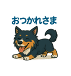 シェルティのそこそこ使えるスタンプ5（個別スタンプ：21）