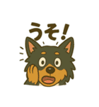 シェルティのそこそこ使えるスタンプ5（個別スタンプ：33）