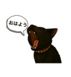 いなばくろちゃん（個別スタンプ：8）