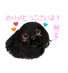 黒いアメコカ♡琴子ちゃんスタンプ（個別スタンプ：1）