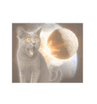 動く！宇宙猫（個別スタンプ：4）