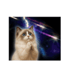 動く！宇宙猫（個別スタンプ：8）