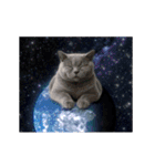 動く！宇宙猫（個別スタンプ：14）