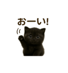ねこの気持ち代弁中。（個別スタンプ：1）