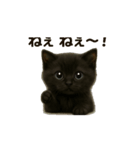 ねこの気持ち代弁中。（個別スタンプ：2）