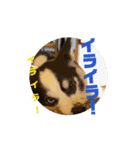 動くモーイ2（個別スタンプ：4）