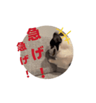 動くモーイ2（個別スタンプ：6）