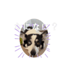 動くモーイ2（個別スタンプ：9）
