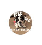 動くモーイ2（個別スタンプ：11）