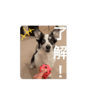 動くモーイ2（個別スタンプ：12）