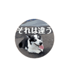動くモーイ2（個別スタンプ：14）