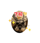 富田家のブルー！（個別スタンプ：4）