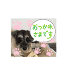 富田家のブルー！（個別スタンプ：6）