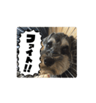 富田家のブルー！（個別スタンプ：10）